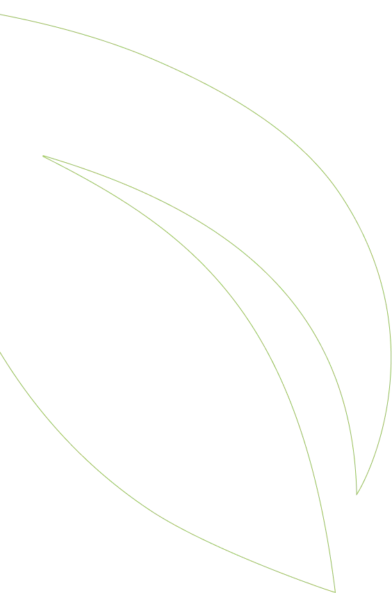 tło - linearne liście