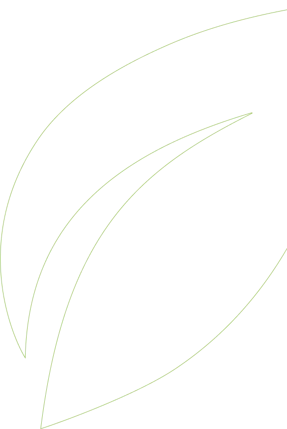 tło - linearne liście